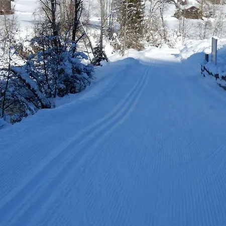 Chalet Rustikal *