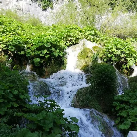 Chalet Rustikal Holiday home *